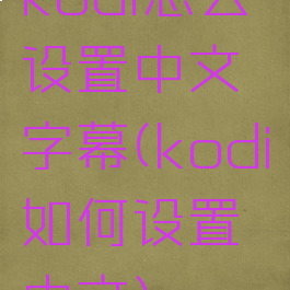 kodi怎么设置中文字幕(kodi如何设置中文)