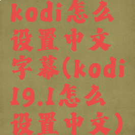 kodi怎么设置中文字幕(kodi19.1怎么设置中文)
