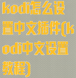 kodi怎么设置中文插件(kodi中文设置教程)