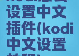 kodi怎么设置中文插件(kodi中文设置教程)