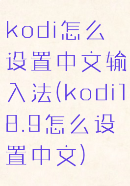 kodi怎么设置中文输入法(kodi18.9怎么设置中文)