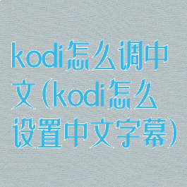 kodi怎么调中文(kodi怎么设置中文字幕)