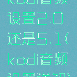 kodi音频设置2.0还是5.1(kodi音频设置详解)