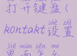 kontakt怎么打开键盘(kontakt设置界面怎么设置)