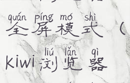 kiwi浏览器全屏模式(kiwi浏览器怎么全屏)