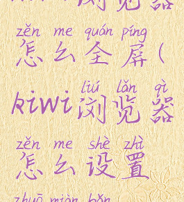 kiwi浏览器怎么全屏(kiwi浏览器怎么设置桌面版)