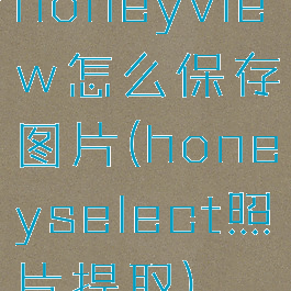 honeyview怎么保存图片(honeyselect照片提取)