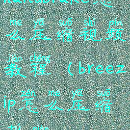 handbrake怎么压缩视频教程(breezip怎么压缩图片)