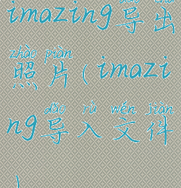 imazing导出照片(imazing导入文件)