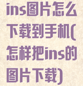 ins图片怎么下载到手机(怎样把ins的图片下载)