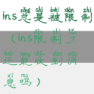 ins总是被限制(ins限制了还能收到消息吗)