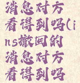 ins撤回的消息对方看得到吗(ins撤回的消息对方看得到吗知乎)