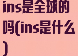 ins是全球的吗(ins是什么)