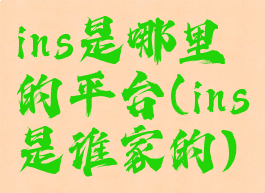 ins是哪里的平台(ins是谁家的)