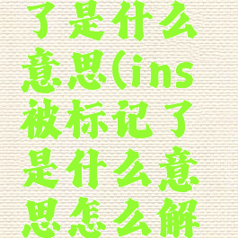 ins被标记了是什么意思(ins被标记了是什么意思怎么解释)