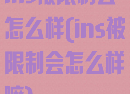 ins被限制会怎么样(ins被限制会怎么样嘛)