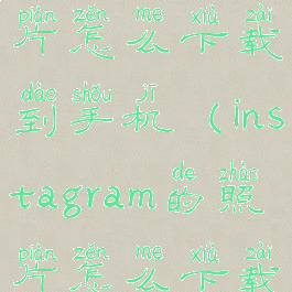 instagram图片怎么下载到手机(instagram的照片怎么下载)