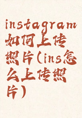 instagram如何上传照片(ins怎么上传照片)