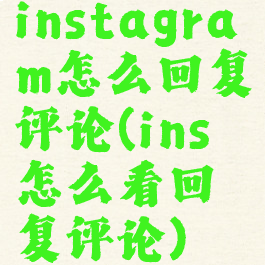 instagram怎么回复评论(ins怎么看回复评论)