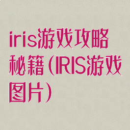 iris游戏攻略秘籍(IRIS游戏图片)