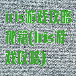 iris游戏攻略秘籍(Iris游戏攻略)