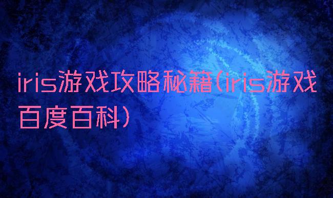 iris游戏攻略秘籍(iris游戏百度百科)