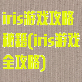 iris游戏攻略秘籍(iris游戏全攻略)