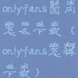 onlyfans国内怎么下载(onlyfans怎样下载)