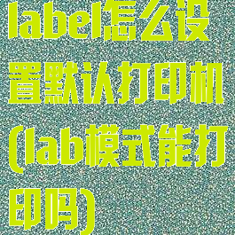 label怎么设置默认打印机(lab模式能打印吗)