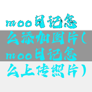 moo日记怎么添加图片(moo日记怎么上传照片)