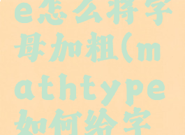 mathtype怎么将字母加粗(mathtype如何给字母加粗)