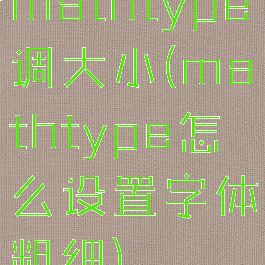 mathtype调大小(mathtype怎么设置字体粗细)