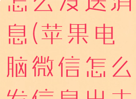 mac微信怎么发送消息(苹果电脑微信怎么发信息出去)