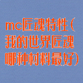 mc匠魂特性(我的世界匠魂哪种材料最好)