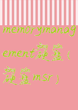 memorymanagement硬盘(硬盘msr)