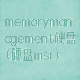 memorymanagement硬盘(硬盘msr)