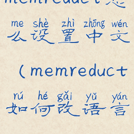 memreduct怎么设置中文(memreduct如何改语言)