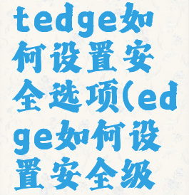 microsoftedge如何设置安全选项(edge如何设置安全级别)