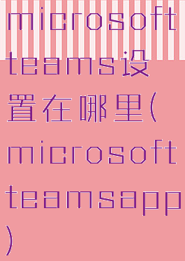microsoftteams设置在哪里(microsoftteamsapp)