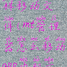 mt管理器怎样移动文件(mt管理器怎么移动app内部文件)