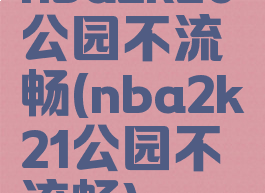 nba2k20公园不流畅(nba2k21公园不流畅)