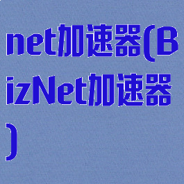 net加速器(BizNet加速器)