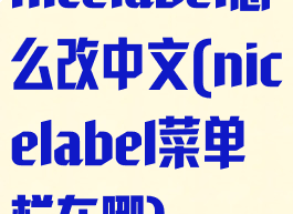 nicelabel怎么改中文(nicelabel菜单栏在哪)