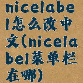 nicelabel怎么改中文(nicelabel菜单栏在哪)