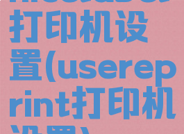 nicelabel打印机设置(usereprint打印机设置)
