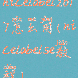 nicelabel2017怎么用(nicelabelse教程)