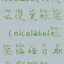 nicelabelpro怎么设置标签(nicelabel标签编辑日期自动变化)