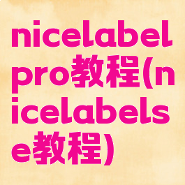 nicelabelpro教程(nicelabelse教程)