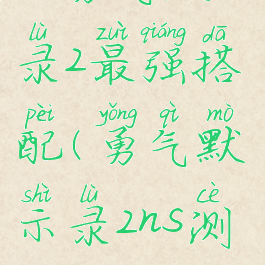 ns勇气默示录2最强搭配(勇气默示录2ns测评)