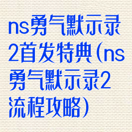 ns勇气默示录2首发特典(ns勇气默示录2流程攻略)